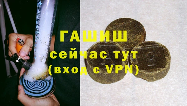 шишки Инта