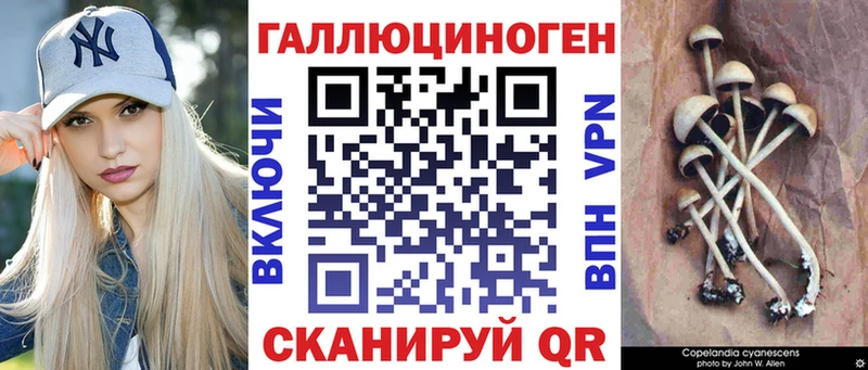 где найти   Красноуральск  Псилоцибиновые грибы прущие грибы 